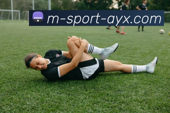 爱游戏平台生态图